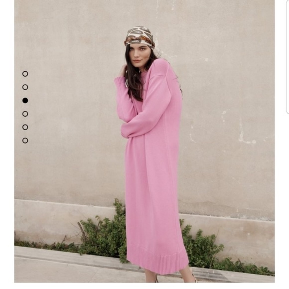Zara Long Sleeved Sweater Dress, NWT. Size Small.